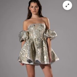 Akira Eloise Metallic Brocade Mini Dress